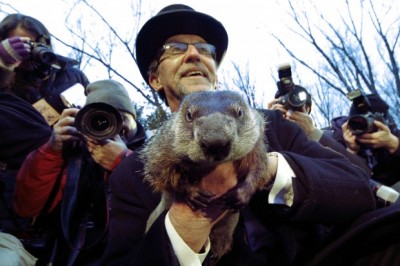 marmotta .Phil .groundhog day